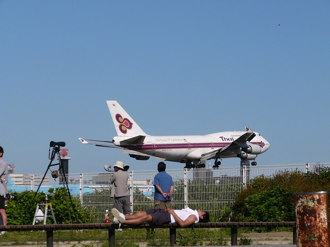 桜と飛行機を眺められる成田さくらの山
